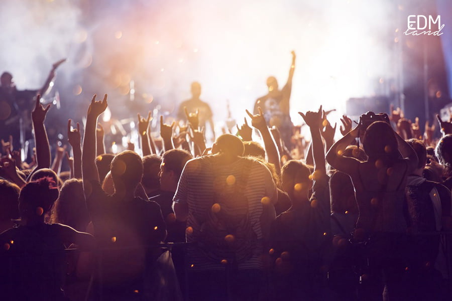 EDM dance Moshpit sở hữu những động tác vui nhộn đầy sức sống